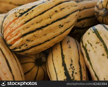 Delicata-yellow. Pumpkin - a wonderful vegetable in autumn, which comes in many variations, here the variety Delicata
