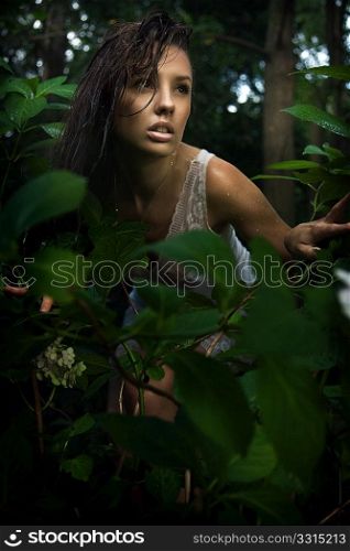 Delicate brunette posing in a forest