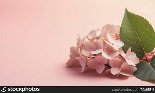 Delicate pink hydrangea and green leaves on similar hued background with copy space. Created using AI Generated technology and image editing software.