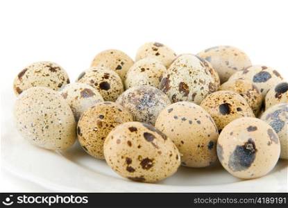 delicatessen quail eggs isolated on white background;