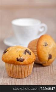 delicious american chocolate muffins for breakfast
