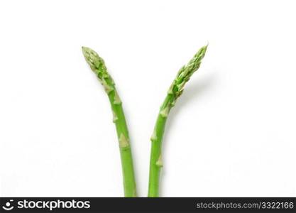 Delicious asparagus isolated on white
