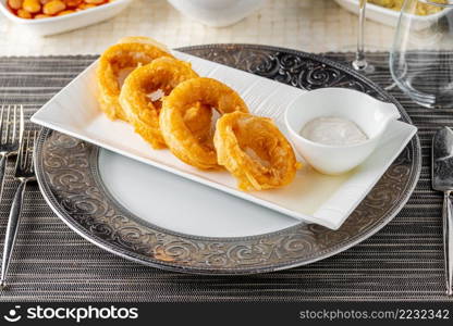 Delicious calamari on a white porcelain plate with salad and sauce