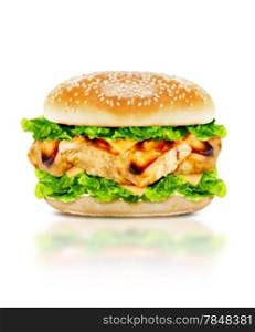 Delicious chicken burger with beef, tomato, cheese and lettuce on white background with clipping path.