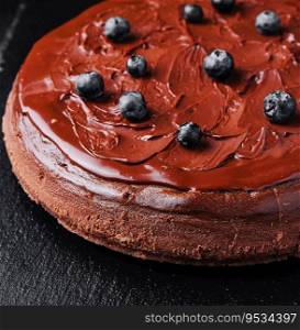 Delicious chocolate cake decorated with fresh blueberries