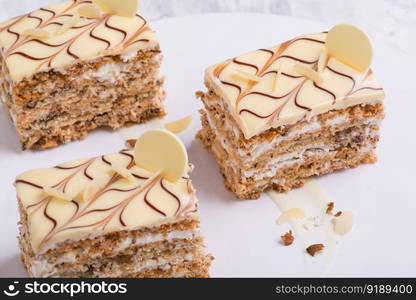 delicious chocolate cake on a white plate. sweets on white background