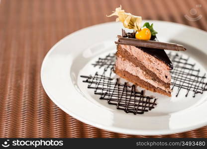 Delicious chocolate cake with physalis on white plate cocoa background