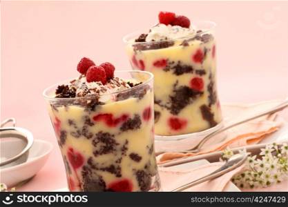 Delicious chocolate trifle dessert served in two glasses topped with raspberries.