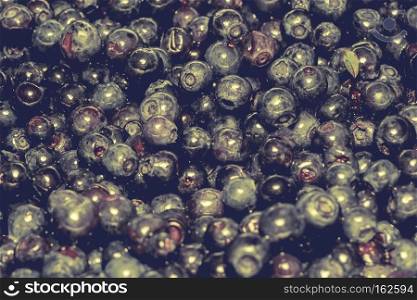 Delicious fresh blueberries background, filtered close up photo.