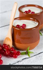 Delicious fresh homemade yogurt with red currant