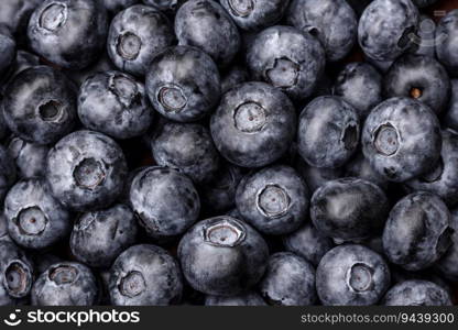 Delicious fresh sweet blueberries in a ceramic bowl on a dark concrete background