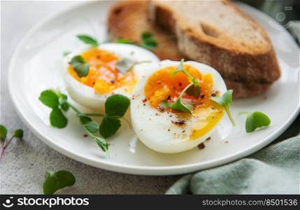 Delicious gourmet Breakfast. Rye bread  with boiled egg,  freshly ground pepper and microgreens. Healthy food. 