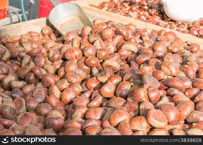 Delicious group of chestnuts fruits close up shoot