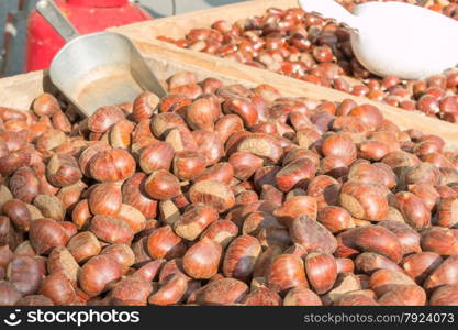 Delicious group of chestnuts fruits close up shoot