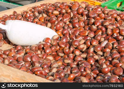 Delicious group of chestnuts fruits close up shoot