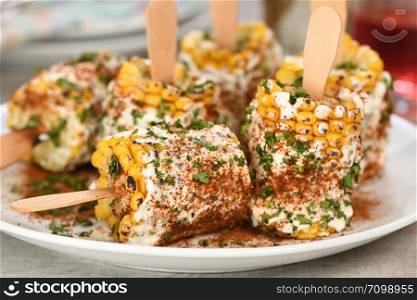 Delicious Indian of corn cob, also called Bhutta, flavored with butter, spices garam masala and cilantro