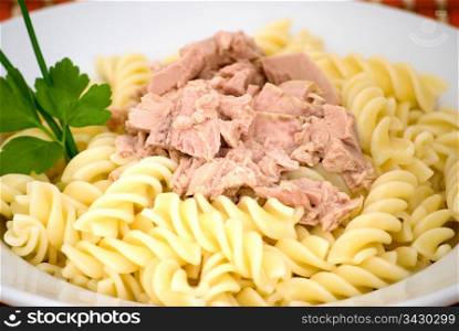 delicious macaroni pasta with tuna in a white plate