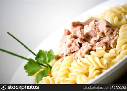 delicious macaroni pasta with tuna in a white plate