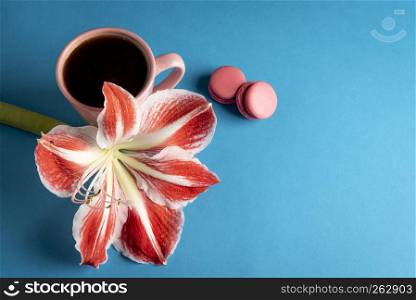 Delicious macaroons, a pink cup of coffee and a red-white flower on a blue colored table