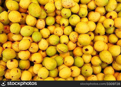 delicious mature yellow guava fruit from mexico