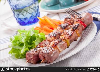 Delicious meat skewers with carrots and salad