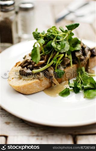 delicious mushrooms and green herb over slice of bread