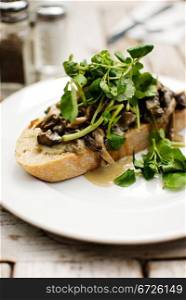 delicious mushrooms and green herb over slice of bread