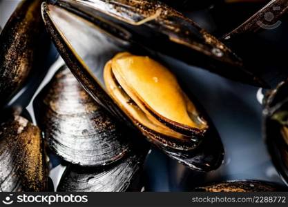 Delicious mussels are boiled in a pot of water. Macro background. High quality photo. Delicious mussels are boiled in a pot of water. 