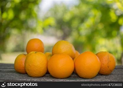 delicious oranges on wooden table in garden