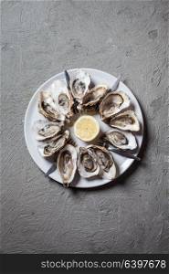Delicious oysters with slice of lemon, top view with place for text. Oysters on the plate
