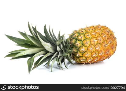 delicious pineapple in front of white background
