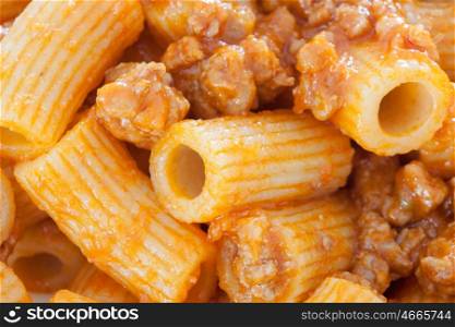 Delicious plate of macaroni served with minced meat and tomato