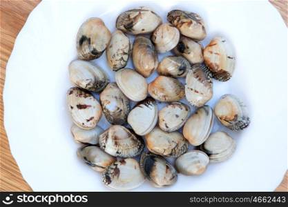 Delicious raw and clean clams prepared for cooking