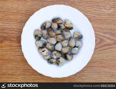 Delicious raw and clean clams prepared for cooking