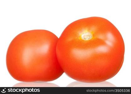 Delicious red tomatoes isolated on white background