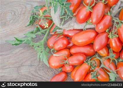 Delicious red tomatoes. Tomatoes on old wooden table. free space on table. Fresh, ripe tomatoes on wood background
