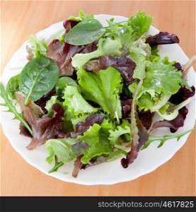 Delicious salad of different types of lettuce leaves dressed with olive oil
