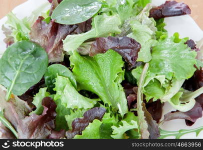 Delicious salad of different types of lettuce leaves dressed with olive oil