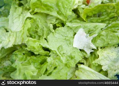 Delicious salad of lettuce leaves dressed with olive oil