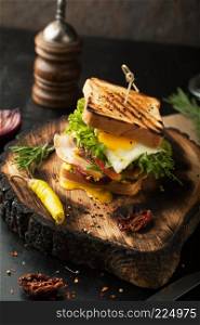 Delicious sandwich with bacon, tomatoes, egg and salad on a dark background 