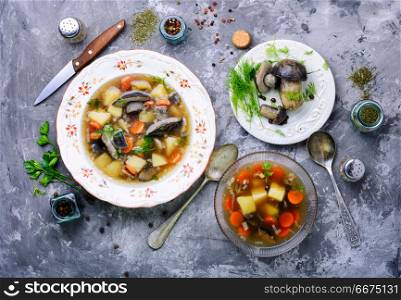 Delicious soup wild mushrooms. Diet vegetarian soup with forest mushrooms in bowl