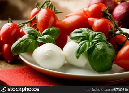 delicious tomatoe mozzarella salad with waterdrops on basil leaves