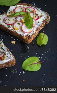 Delicious vegetarian sandwiches. Delicious sandwiches with soft cream cheese and radish. Vegetarian food.