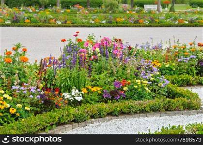 delightful flower bed in the summer park
