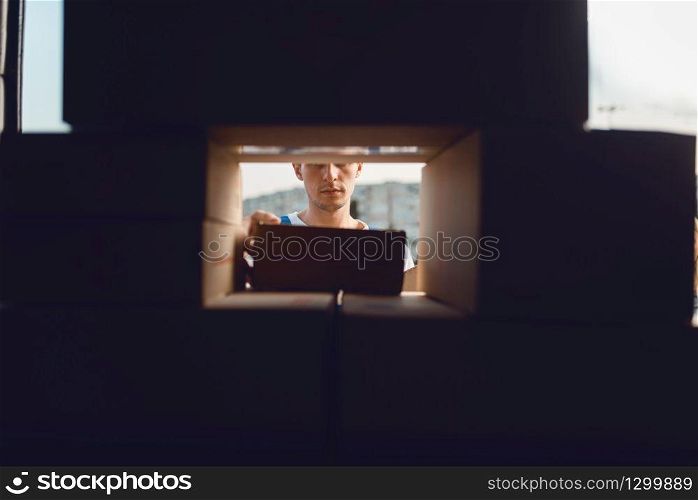 Deliveryman looking through a crack in the boxes with parcels, delivery service. Man standing at cardboard packages in vehicle, male deliver, courier or shipping job. Deliveryman looking through a crack in the boxes