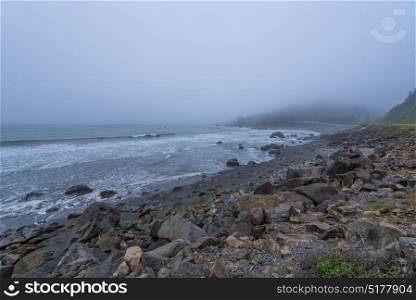 DeMartin Beach along the US 101 Redwood Highway south of Crescent City on a foggy morning