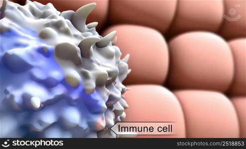 Dendritic cell presenting an antigen to T-lymphocytes. The antigen is a peptide from a tumor cell, bacteria or virus. 3d illustration. Human immune system virus 3d