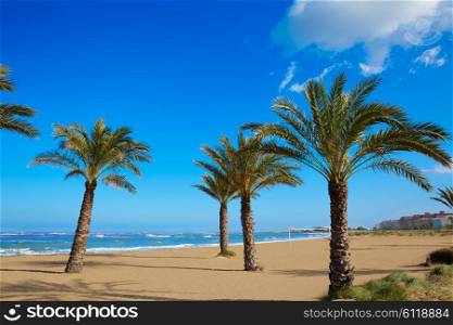 Denia beach Las Marinas with palm trees in Mediterranean Alicante of Spain