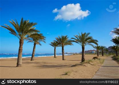 Denia beach Las Marinas with palm trees in Mediterranean Alicante of Spain