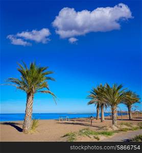 Denia beach palm trees in Alicante in blue Mediterranean of Spain